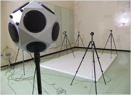 Reverberation room (sound absorption rate)